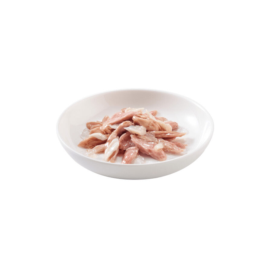 85 g Schesir Adult Atum com Peixe Dourado em lata para gatos, , large Imagem n&uacute;mero 2